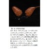 【全5色】 ジークラック ピクピクピンテール 3.5in (ソルトワーム)