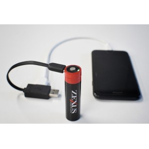 冨士灯器 ZEXUS 専用電池3400mAh ZR-02 PSE認証商品 (電池)