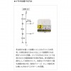 ヤマシタ イサキ仕掛 FICF3A (船釣り仕掛け イサギ釣り仕掛)