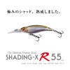 メガバス SHADING-X R 55 (ブラックバスルアー)