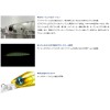 【全4色】 ダイワ ショアラインシャイナーZ セットアッパー 125S-DR ラトルIN新カラー (ソルトルアー)