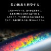 【全3色】 ダイワ ソルティガTGベイト 80g 追加カラー (メタルジグ ジギング)