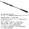 ダイワ 極鋭MG 73M-230 (Daiwa 竿 ロッド 船 海 釣り)