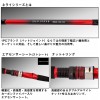 ダイワ 24 アナリスターネライ M-210 (Daiwa 竿 ロッド 船 海 釣り)(大型商品A)