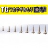 レイン reins TGワカサギおもり直撃 6g (シンカー オモリ)