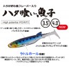 【全8色】ルーディーズ ハタ喰い魚子（ぎょし） 4in (ロックフィッシュ ソルト)