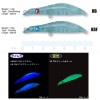 ティクト TICT ビッグヒップ60 HB (ソルトルアー 海釣り)