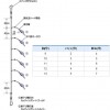 ハヤブサ 実戦サビキ オーロラサバ皮&ホロフラッシュ SS046 (船釣り仕掛 サビキ仕掛)