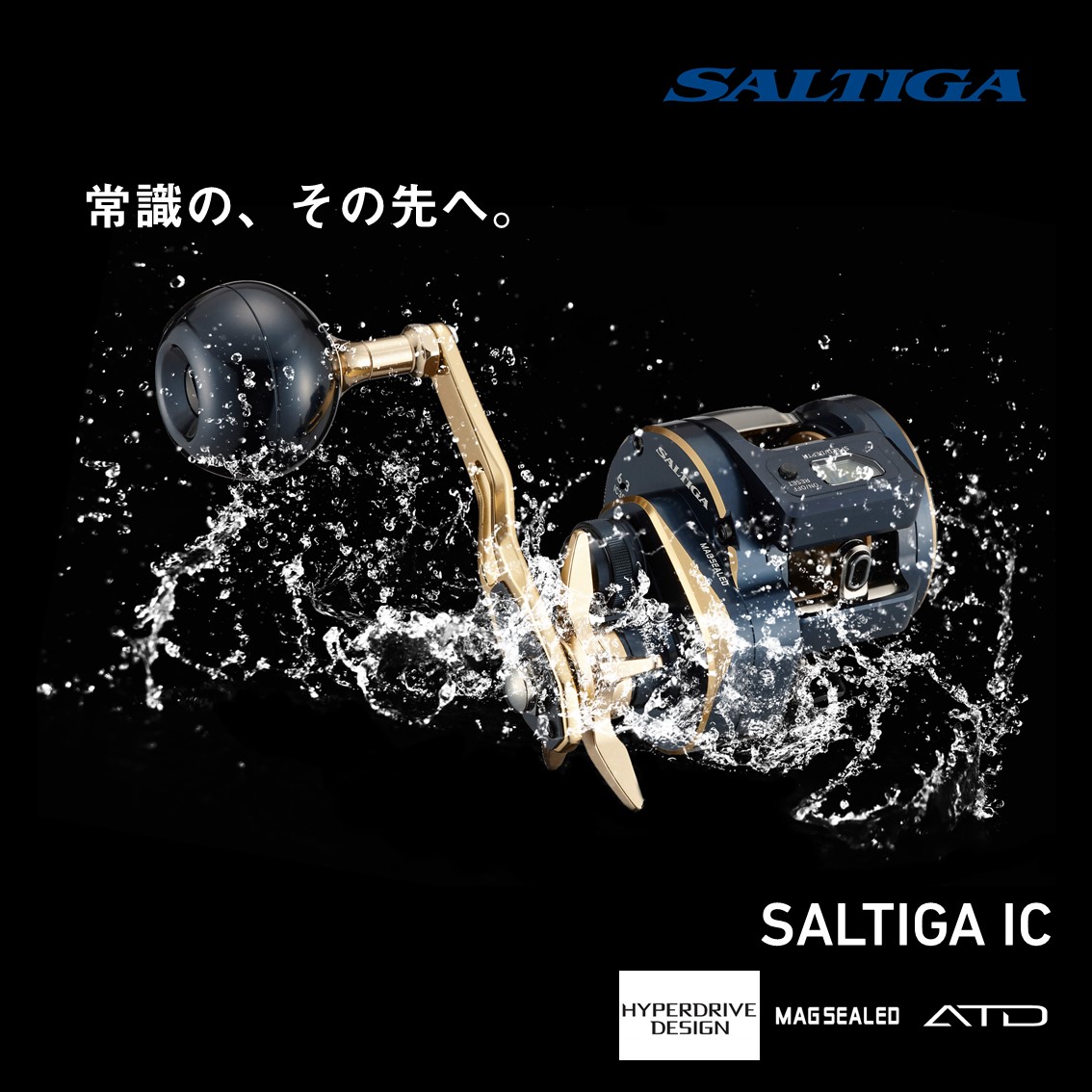 までラクマ DAIWA IC 100の通販 by わいわい's shop｜ダイワならラクマ