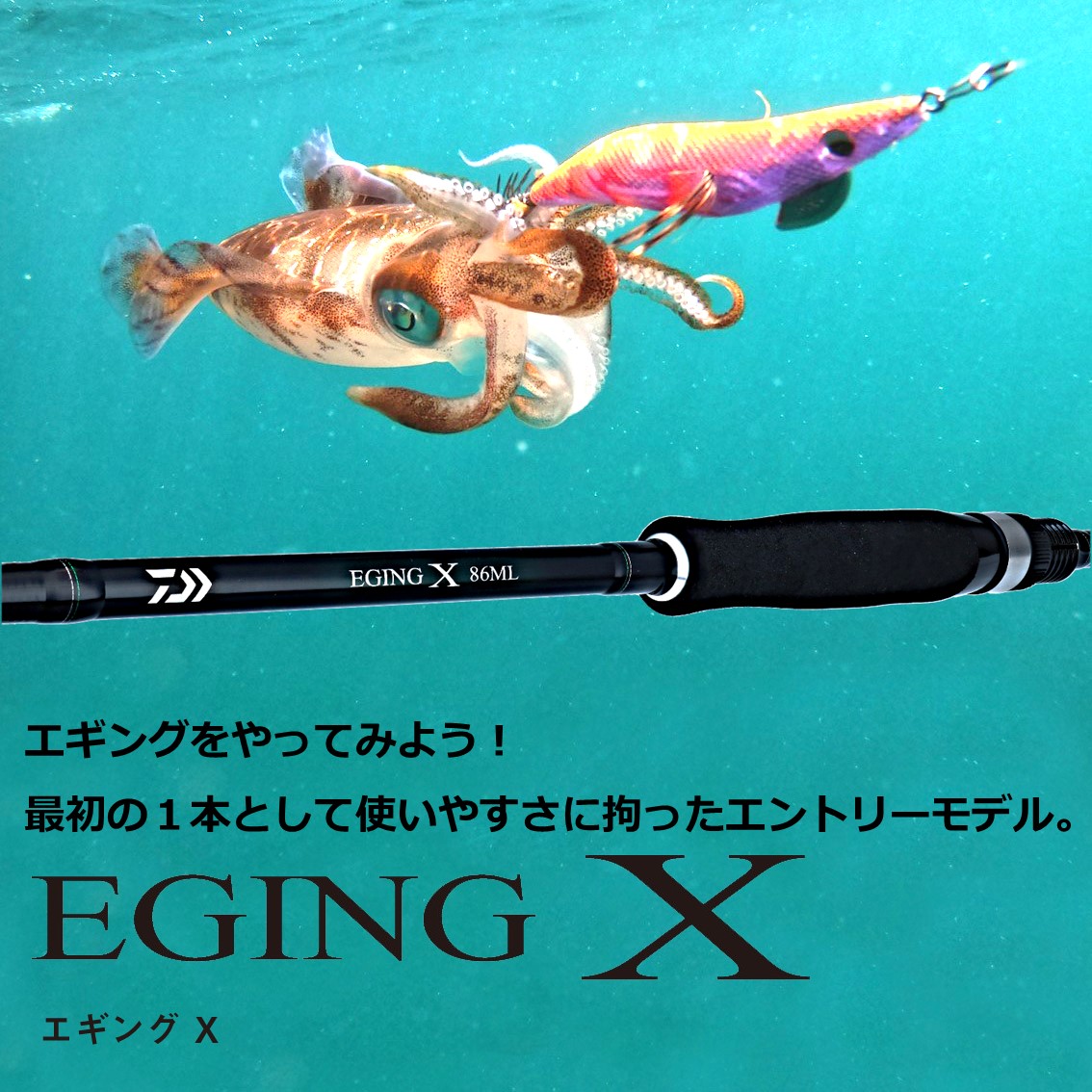 ダイワ エギングX 86ML (エギングロッド) - 釣り具の販売、通販なら