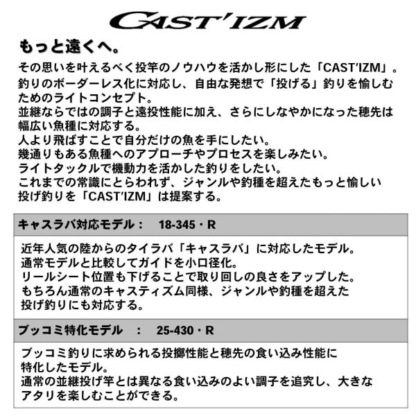 激安アウトレット!】 ダイワ キャスティズム25-385並継 ロッド