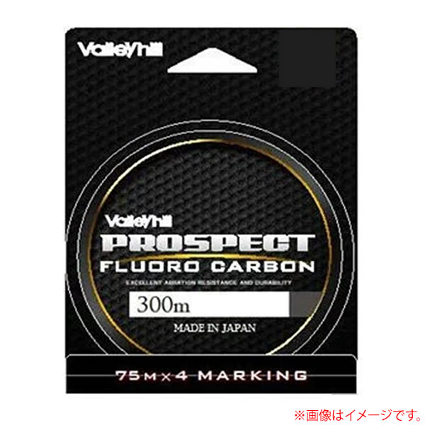 バレーヒル Vhf プロスペクトフロロ 300m 4lb ブラックバスライン フロロカーボンライン 釣り具の販売 通販なら フィッシング遊 Web本店 ダイワ シマノ がまかつの釣具ならおまかせ