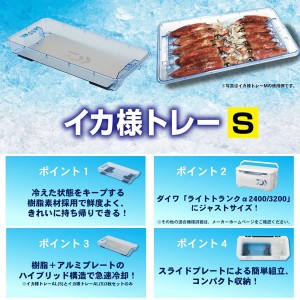 ダイワ イカ様トレー S (クーラー用品)