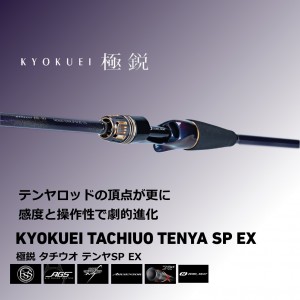 ダイワ 極鋭 タチウオ テンヤSP EX 82-174 (船竿)(大型商品A)