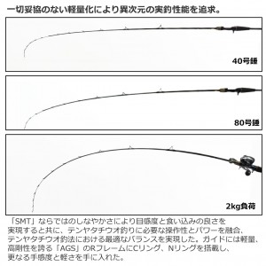 ダイワ 極鋭 タチウオ テンヤSP EX 82-174 (船竿)(大型商品A)