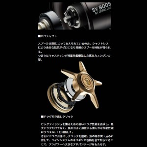 ダイワ 24 スティーズSV TW 100XH (Daiwa ベイトリール 釣り 右)