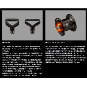 ダイワ 24 スティーズSV TW 100XH (Daiwa ベイトリール 釣り 右)