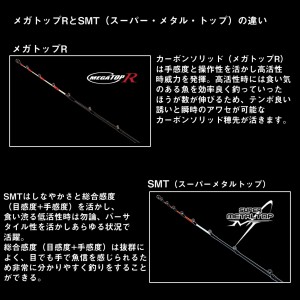 ダイワ 瞬鋭カワハギEX H-175 (Daiwa 竿 ロッド 船 海 釣り)(大型商品A)