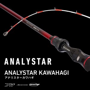 ダイワ 24 アナリスターカワハギ H-172 K (Daiwa 竿 ロッド 船 海 釣り)