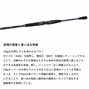 ダイワ 極鋭ヒラメ M-240 K (Daiwa 竿 ロッド 船 海 釣り)