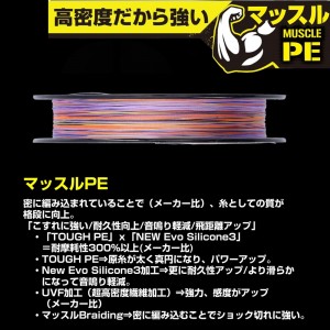 ダイワ UVF PEデュラヘビーX8+1+Si2 5C 200m 5カラー (ソルトライン PEライン 釣り糸)