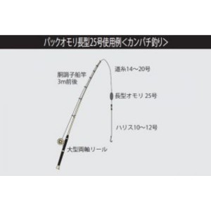 タカタ パックオモリ 長型P入 6号 (オモリ)