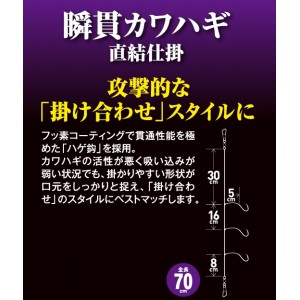 ハヤブサ 瞬貫カワハギ直結式ハゲ鈎 3本 3本鈎2セット SD216 (堤防釣り 仕掛け)