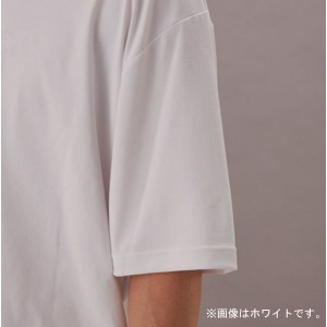ハヤブサ 綿タッチTシャツ (マサヤート-サビキ) ブルー YK1005 (フィッシングシャツ Tシャツ)