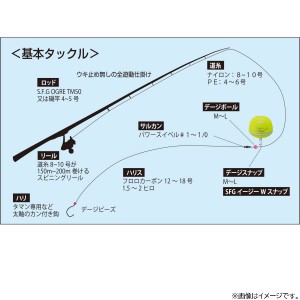 釣武者 デージマギー オレンジ (フカセ釣り ウキ 磯釣り)